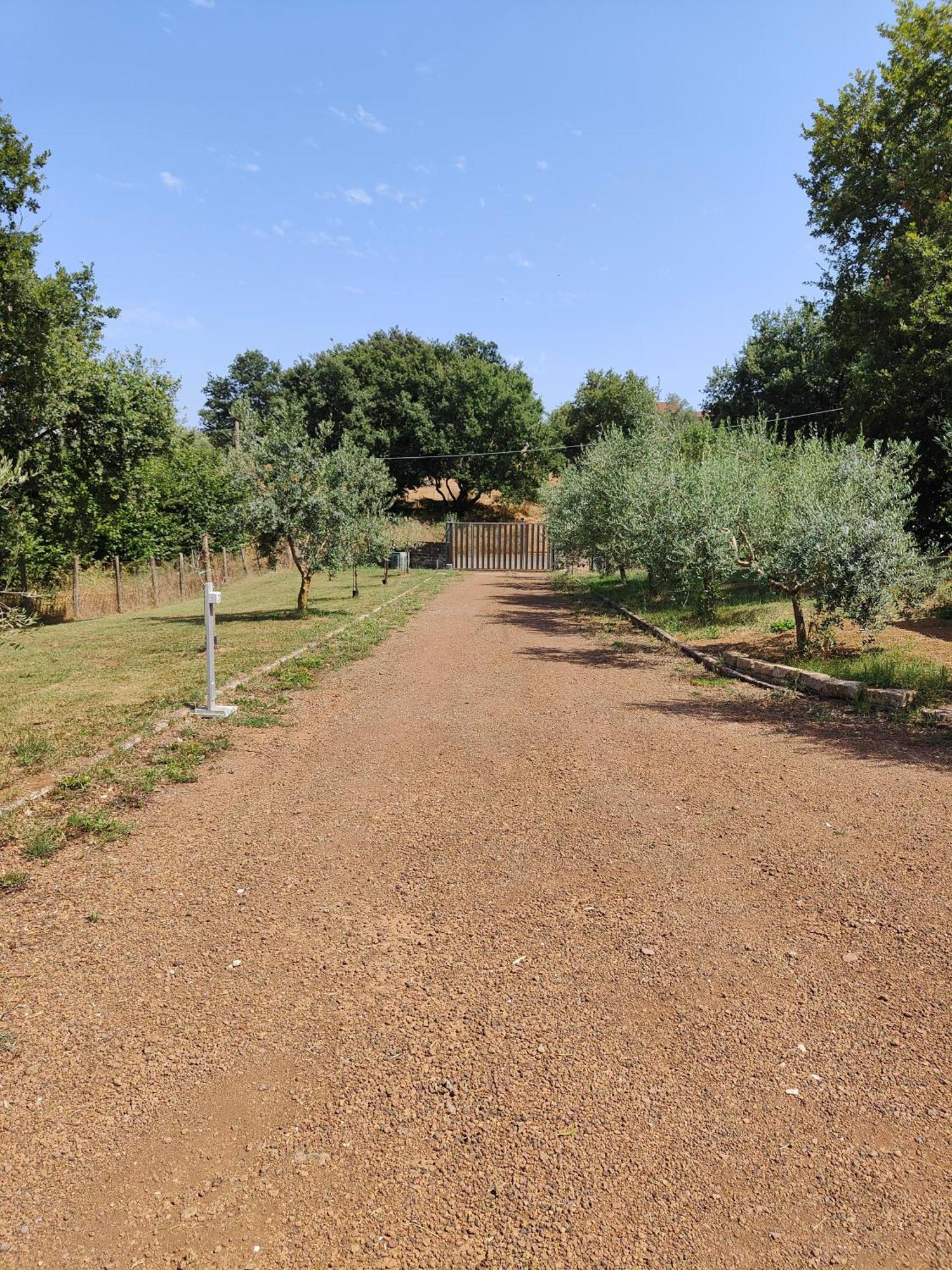 Il Melarancio B&B Monterosi Exterior photo